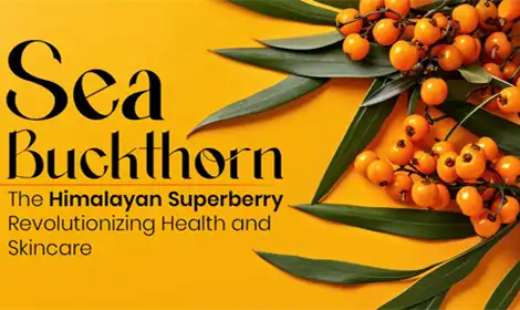 How Sea Buckthorn Fruit Powder Promotes Collagen and UV Protection?